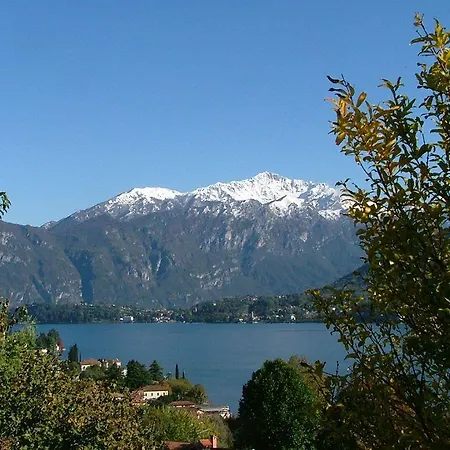 Celeste 2*