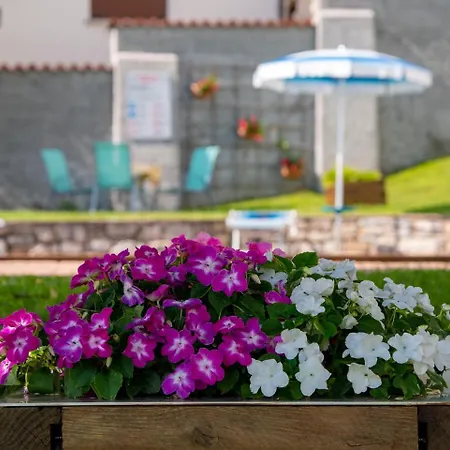 Ξενοδοχείο με διαμερίσματα Celeste View 4*