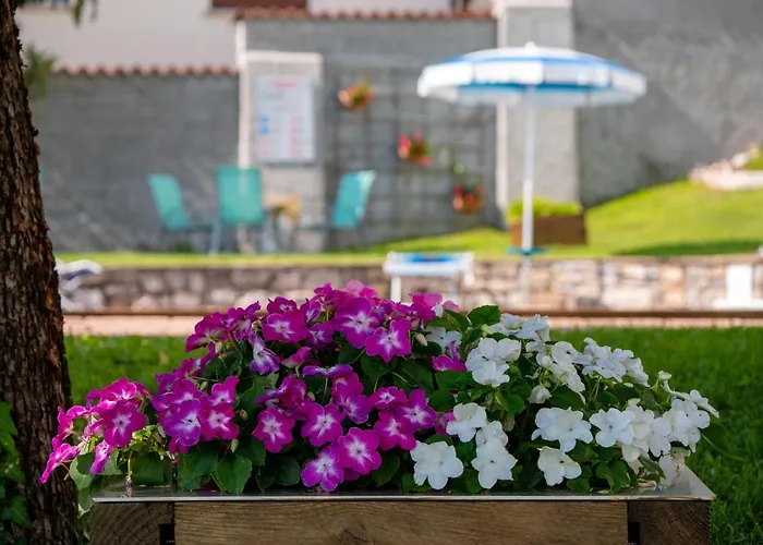 Apartahotel Celeste View 4*